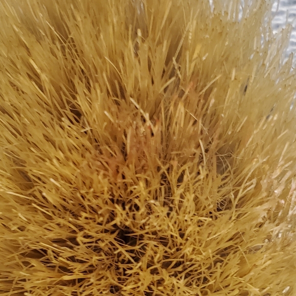 Antique Derby Silver Company 67 Hand Mirror & Monogrammed Brush - Picture 9 of 9